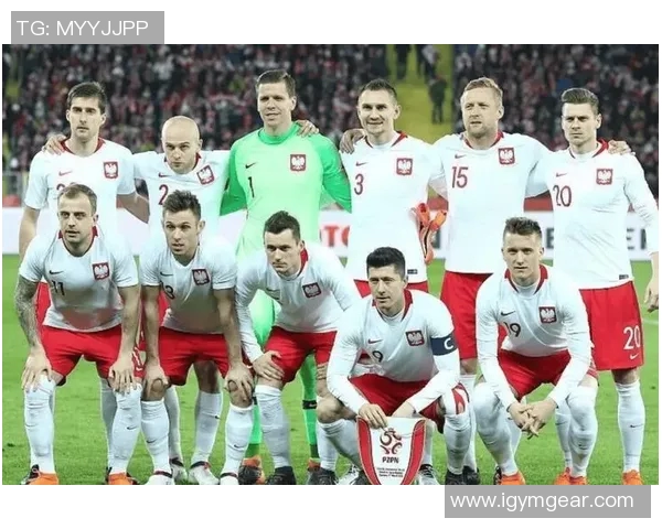 世预赛焦点对决丹麦队与波兰队的激烈较量即将上演